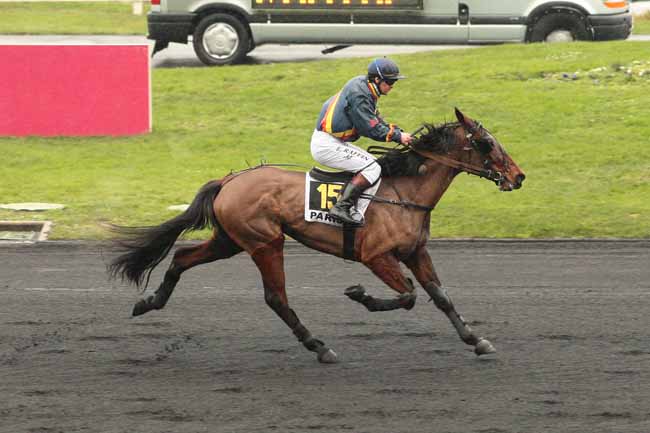 Photo d'arrivée de la course pmu PRIX D'AUFFAY à PARIS-VINCENNES le Vendredi 22 janvier 2016