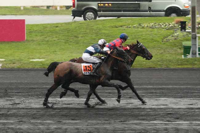 Photo d'arrivée de la course pmu PRIX DE PONT-A-MOUSSON à PARIS-VINCENNES le Vendredi 22 janvier 2016