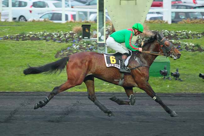 Photo d'arrivée de la course pmu PRIX CAMILLE DE WAZIERES à PARIS-VINCENNES le Dimanche 24 janvier 2016
