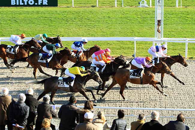 Photo d'arrivée de la course pmu PRIX DU ROUSSILLON à CAGNES-SUR-MER le Lundi 25 janvier 2016