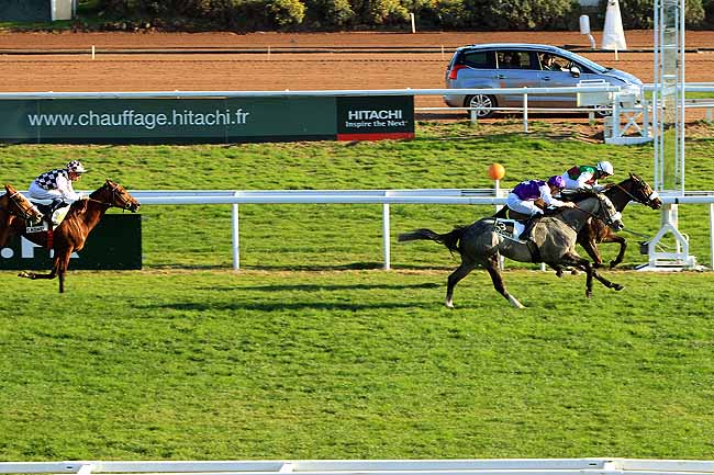 Photo d'arrivée de la course pmu PRIX DES ILES DES EMBIEZ à CAGNES-SUR-MER le Lundi 25 janvier 2016