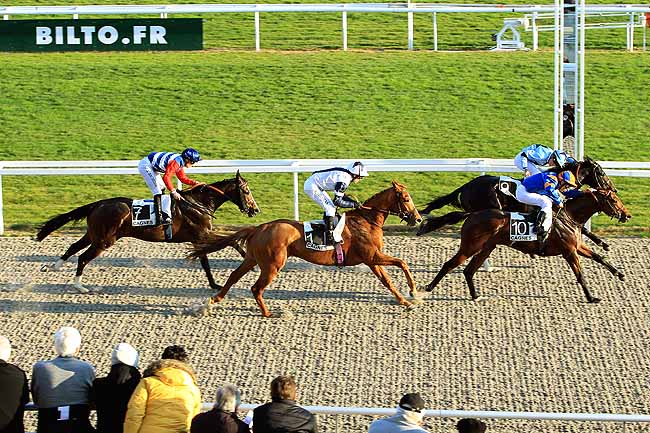 Photo d'arrivée de la course pmu PRIX DES CITRONNIERS à CAGNES-SUR-MER le Lundi 25 janvier 2016