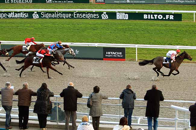 Photo d'arrivée de la course pmu PRIX DE CATALOGNE à CAGNES-SUR-MER le Lundi 25 janvier 2016