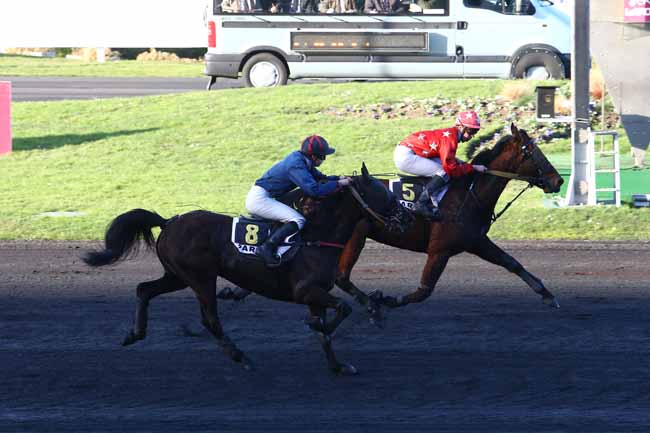 Photo d'arrivée de la course pmu PRIX DE PONTRIEUX à PARIS-VINCENNES le Lundi 25 janvier 2016
