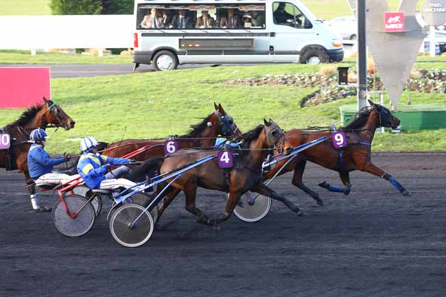 Photo d'arrivée de la course pmu PRIX DE CAVAILLON à PARIS-VINCENNES le Lundi 25 janvier 2016