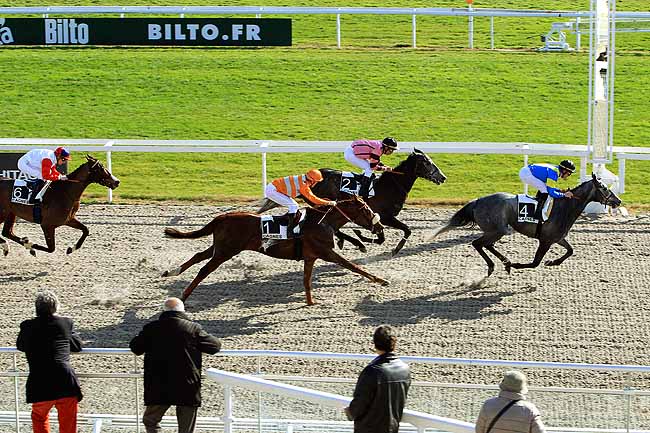 Photo d'arrivée de la course pmu PRIX DES ILES DE LERINS à CAGNES-SUR-MER le Mardi 26 janvier 2016