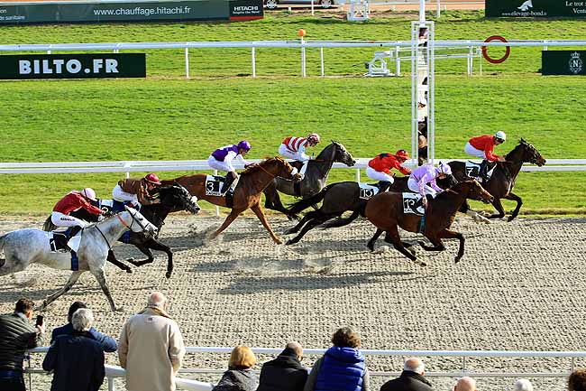 Photo d'arrivée de la course pmu PRIX DE MARSEILLE à CAGNES-SUR-MER le Mardi 26 janvier 2016