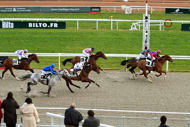 Photo d'arrivée de la course pmu PRIX YVES BACHELIER à CAGNES-SUR-MER le Mardi 26 janvier 2016