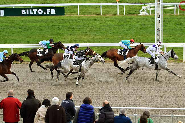 Photo d'arrivée de la course pmu PRIX DES FIGUIERS à CAGNES-SUR-MER le Mardi 26 janvier 2016
