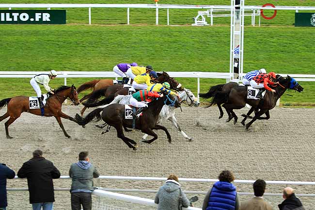 Photo d'arrivée de la course pmu PRIX DE BONNEVEINE à CAGNES-SUR-MER le Mardi 26 janvier 2016