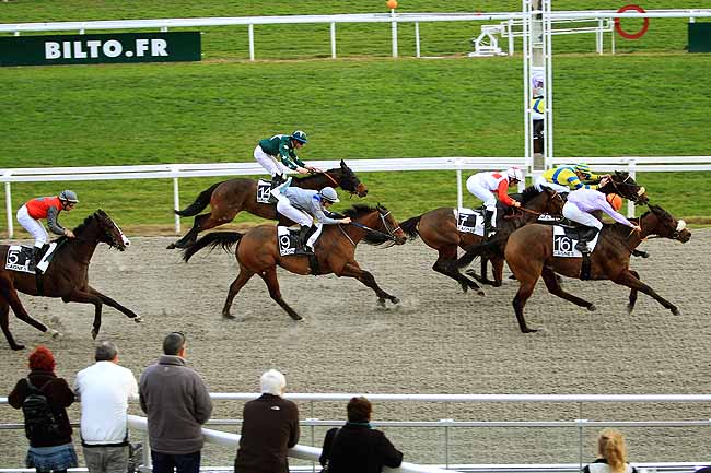 Photo d'arrivée de la course pmu PRIX DE LA CANEBIERE à CAGNES-SUR-MER le Mardi 26 janvier 2016