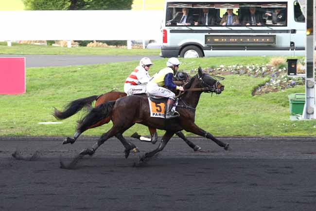 Photo d'arrivée de la course pmu PRIX DE CHATEAUROUX à PARIS-VINCENNES le Mardi 26 janvier 2016