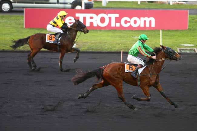 Photo d'arrivée de la course pmu PRIX DE WOLVEGA à PARIS-VINCENNES le Jeudi 28 janvier 2016