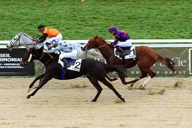 Photo d'arrivée de la course pmu PRIX DU CERCLE DE L'UNION à PAU le Vendredi 29 janvier 2016