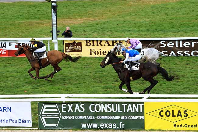 Photo d'arrivée de la course pmu PRIX LOUIS LA CAZE à PAU le Vendredi 29 janvier 2016