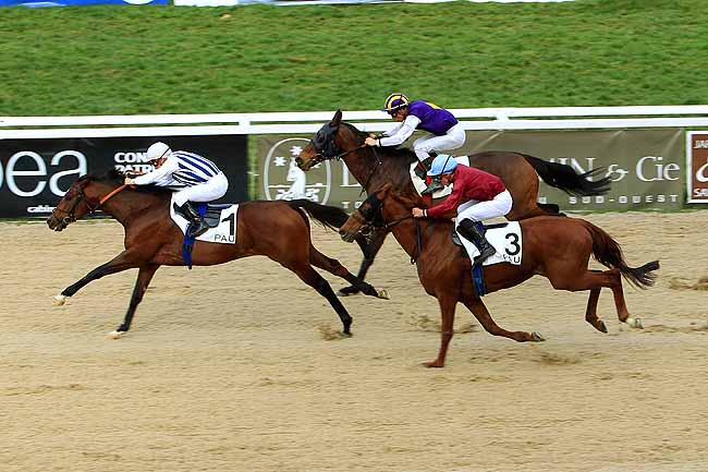 Photo d'arrivée de la course pmu PRIX D'ARETTE à PAU le Vendredi 29 janvier 2016