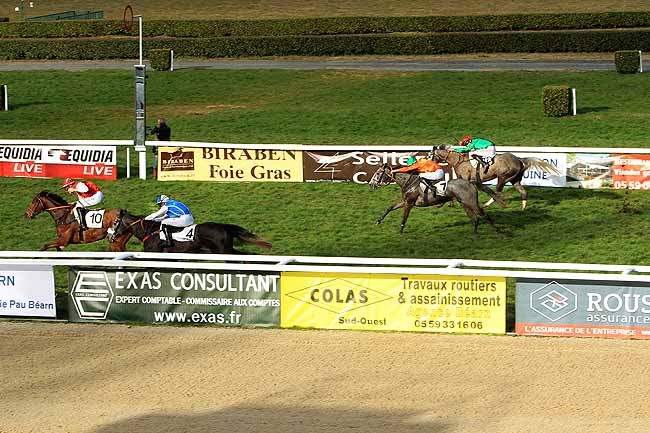 Photo d'arrivée de la course pmu PRIX DE GARLIN à PAU le Vendredi 29 janvier 2016