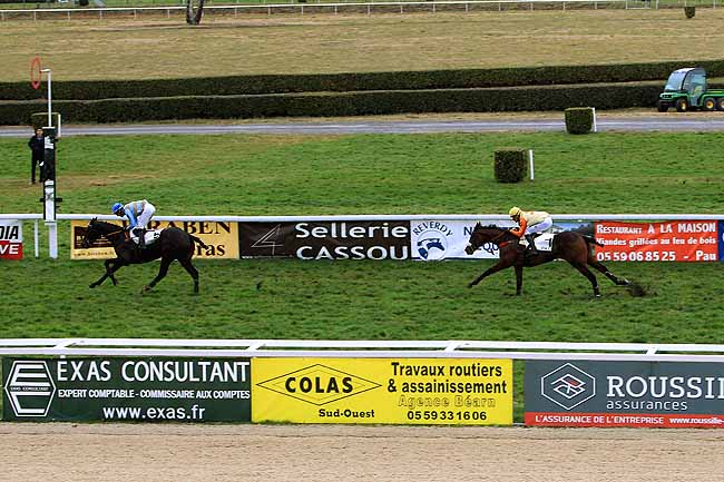 Photo d'arrivée de la course pmu PRIX EMILE LALANNE à PAU le Vendredi 29 janvier 2016
