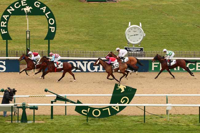 Photo d'arrivée de la course pmu PRIX DU CARREFOUR SAINT-LEONARD à CHANTILLY le Vendredi 29 janvier 2016