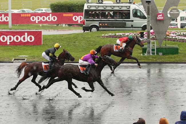 Photo d'arrivée de la course pmu PRIX DE PARAY-LE-MONIAL à PARIS-VINCENNES le Samedi 30 janvier 2016