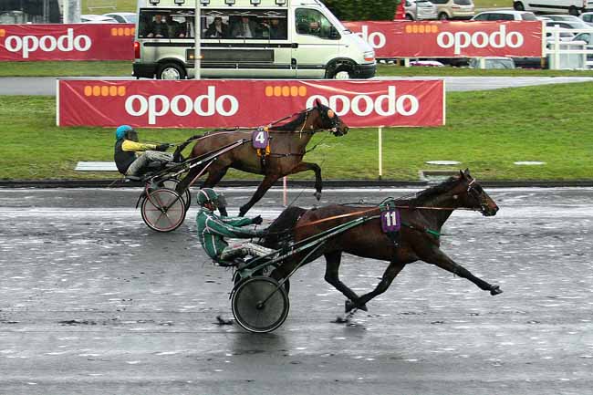 Photo d'arrivée de la course pmu PRIX READY CASH à PARIS-VINCENNES le Samedi 30 janvier 2016