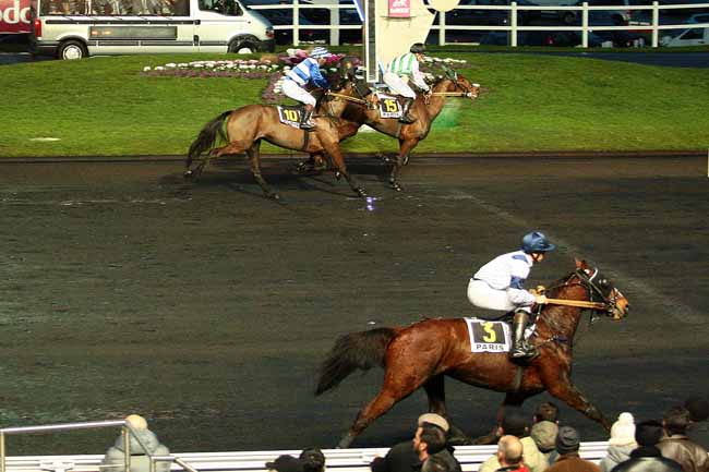 Photo d'arrivée de la course pmu PRIX JAG DE BELLOUET à PARIS-VINCENNES le Samedi 30 janvier 2016