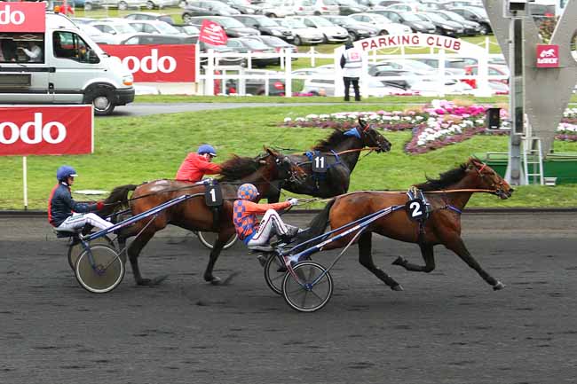 Photo d'arrivée de la course pmu PRIX DE MONTREAL à PARIS-VINCENNES le Dimanche 31 janvier 2016