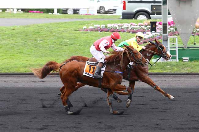 Photo d'arrivée de la course pmu PRIX DE FAVEROLLES à PARIS-VINCENNES le Lundi 1 février 2016
