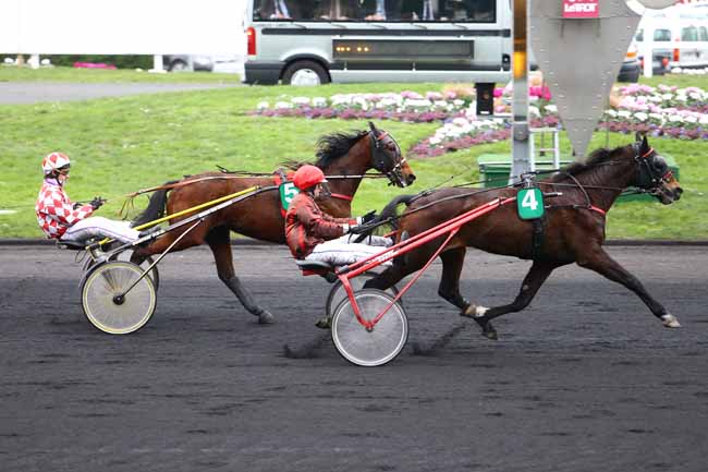 Photo d'arrivée de la course pmu PRIX D'YVETOT à PARIS-VINCENNES le Lundi 1 février 2016