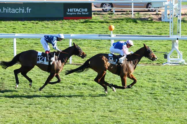 Photo d'arrivée de la course pmu PRIX DE CIMIEZ à CAGNES-SUR-MER le Mercredi 3 février 2016