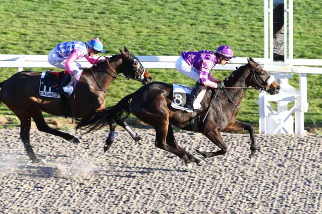 Photo d'arrivée de la course pmu PRIX DES HORTENSIAS à CAGNES-SUR-MER le Mercredi 3 février 2016