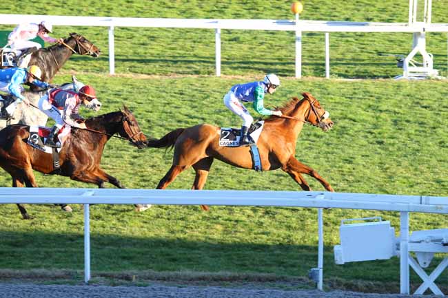 Photo d'arrivée de la course pmu PRIX DE MORGIOU à CAGNES-SUR-MER le Mercredi 3 février 2016