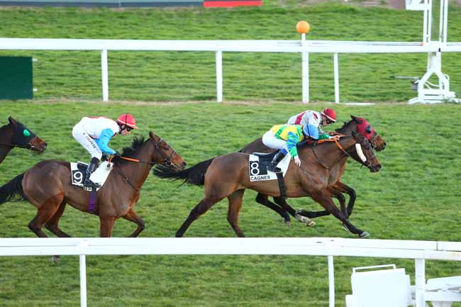 Photo d'arrivée de la course pmu PRIX DE SORMIOU à CAGNES-SUR-MER le Mercredi 3 février 2016