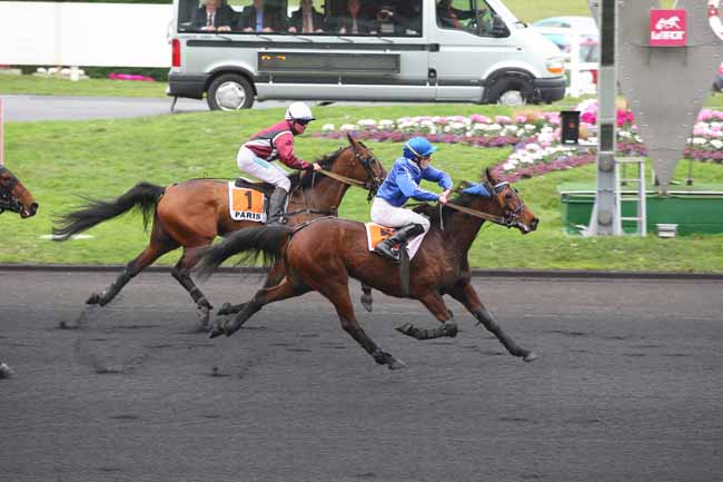 Photo d'arrivée de la course pmu PRIX DE DOZULE à PARIS-VINCENNES le Jeudi 4 février 2016