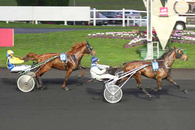 Photo d'arrivée de la course pmu PRIX DE POUILLAC à PARIS-VINCENNES le Jeudi 4 février 2016