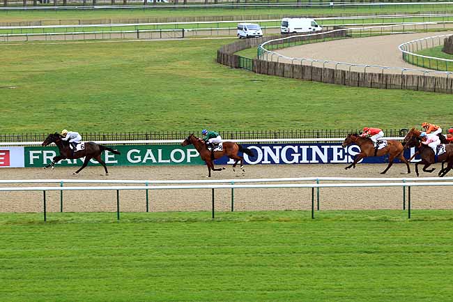Photo d'arrivée de la course pmu PRIX DU CARREFOUR MASSON à CHANTILLY le Jeudi 4 février 2016