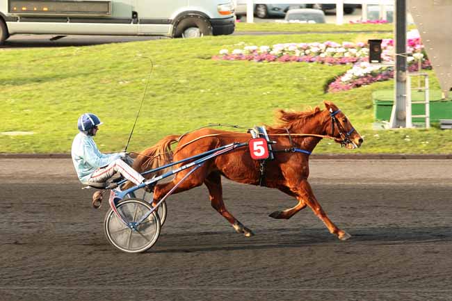 Photo d'arrivée de la course pmu PRIX DE CAGNY à PARIS-VINCENNES le Samedi 6 février 2016