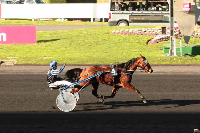 Photo d'arrivée de la course pmu GRAND PRIX D'AFRIQUE à PARIS-VINCENNES le Dimanche 7 février 2016