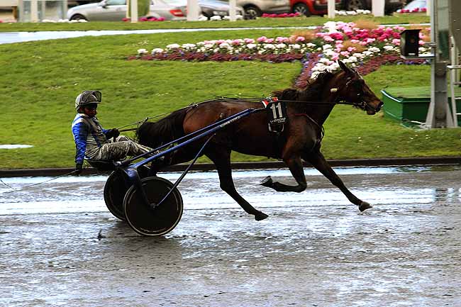 Photo d'arrivée de la course pmu PRIX DES ROUGES TERRES à PARIS-VINCENNES le Lundi 8 février 2016