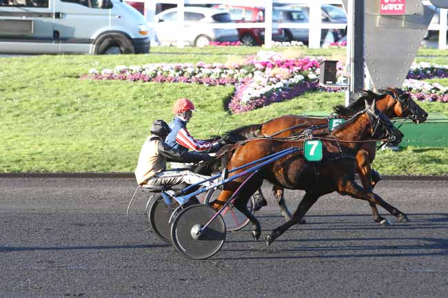 Photo d'arrivée de la course pmu PRIX DE PLOUBALAY-LANCIEUX à PARIS-VINCENNES le Lundi 8 février 2016
