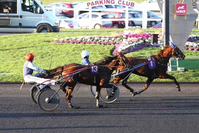 Photo d'arrivée de la course pmu PRIX DE COULOMMIERS à PARIS-VINCENNES le Lundi 8 février 2016
