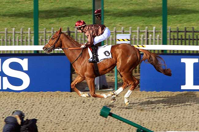 Photo d'arrivée de la course pmu PRIX DE LA ROUTE DE CONDE à CHANTILLY le Mardi 9 février 2016