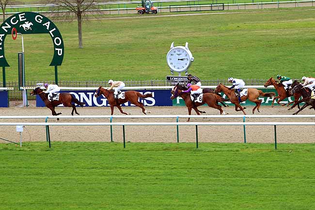 Photo d'arrivée de la course pmu PRIX DU BOSQUET SAINT-ROMAIN à CHANTILLY le Mardi 9 février 2016