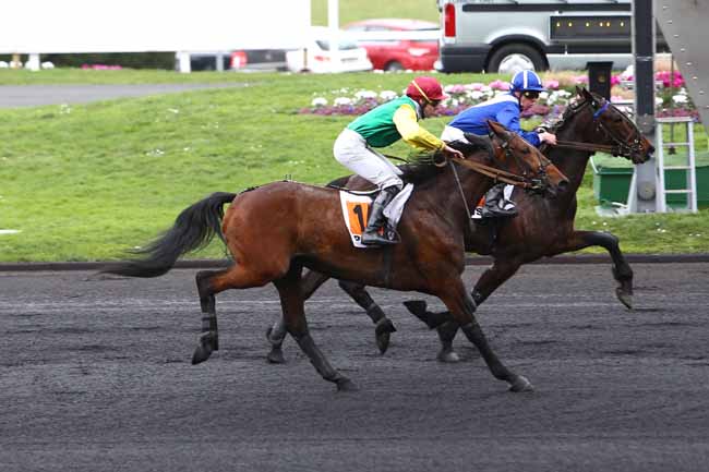 Photo d'arrivée de la course pmu PRIX ANDRE THERON à PARIS-VINCENNES le Jeudi 11 février 2016