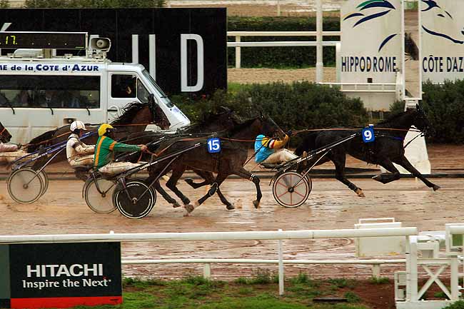 Photo d'arrivée de la course pmu PRIX DE SEVILLE à CAGNES-SUR-MER le Vendredi 12 février 2016