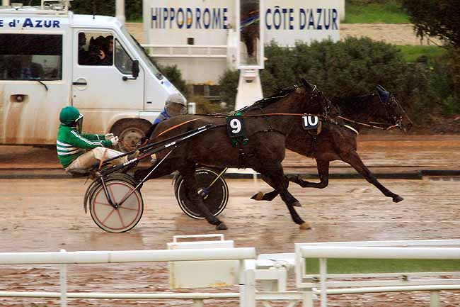 Photo d'arrivée de la course pmu PRIX DE BEDARIEUX à CAGNES-SUR-MER le Vendredi 12 février 2016