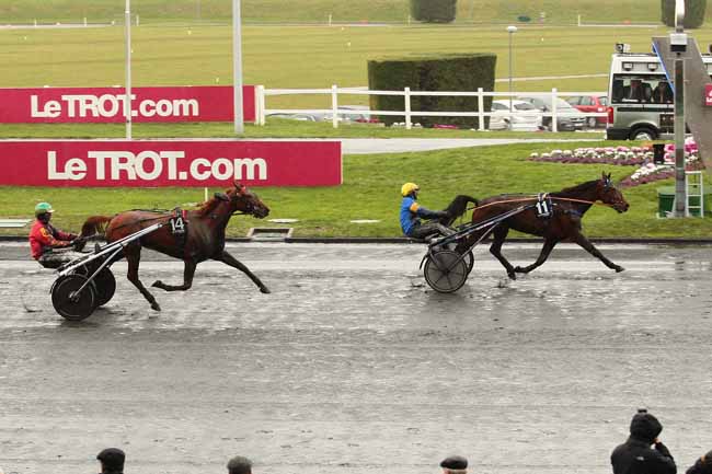 Photo d'arrivée de la course pmu PRIX DE VERNEUIL à PARIS-VINCENNES le Samedi 13 février 2016