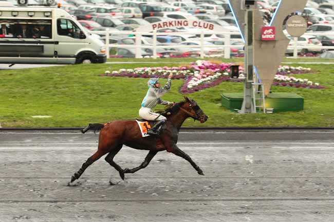Photo d'arrivée de la course pmu PRIX DES CENTAURES à PARIS-VINCENNES le Dimanche 14 février 2016