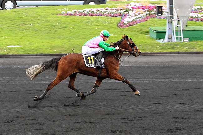 Photo d'arrivée de la course pmu PRIX DE BOUGUENAIS à PARIS-VINCENNES le Lundi 15 février 2016