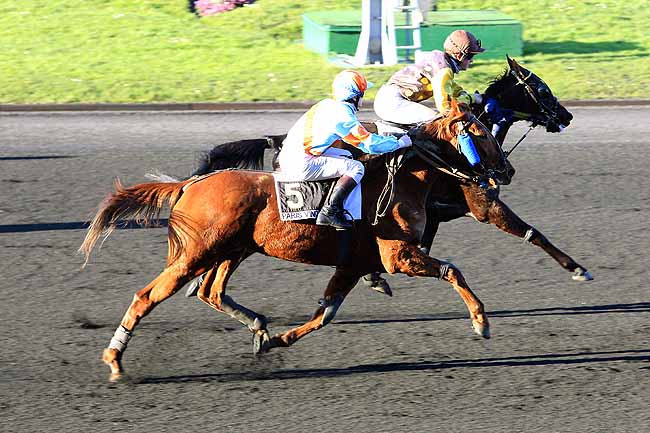 Photo d'arrivée de la course pmu PRIX DE MONTEBOURG à PARIS-VINCENNES le Lundi 15 février 2016